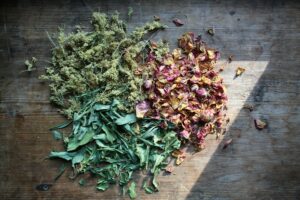 A guide to the differences between fresh and dried herbs