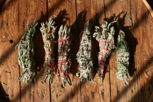 Herbs that can naturally boost your energy and concentration
