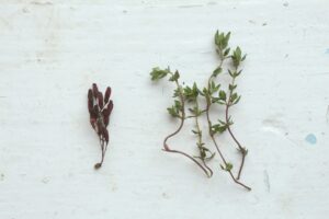 Ingredients in Herbs That Can Help Control Blood Sugar Levels
