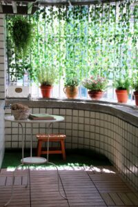 Detailed Instructions on How to Begin a Herb Garden on a Balcony