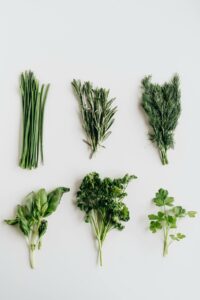 Diseases that are often seen in plants and their natural remedies
