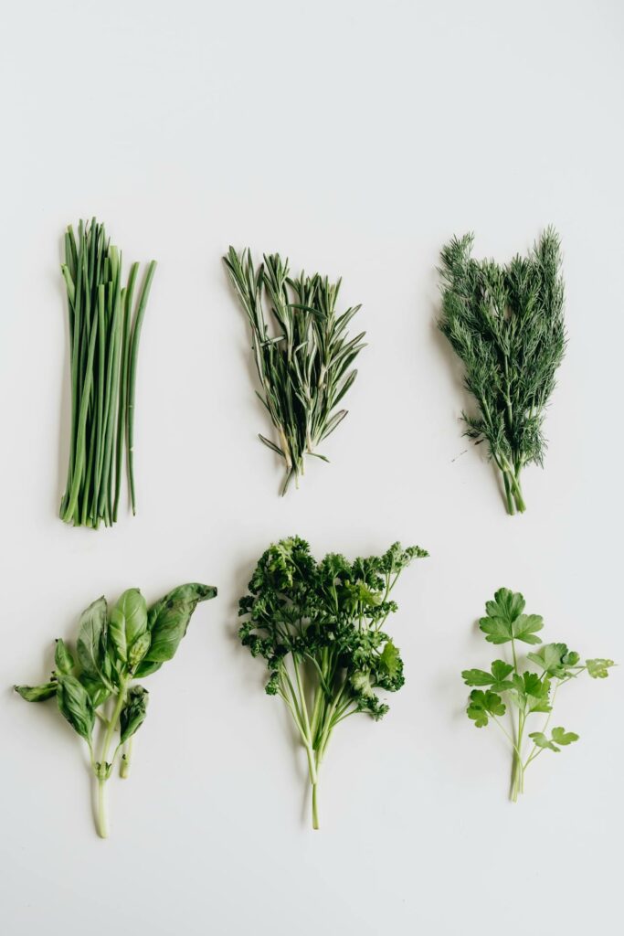 Diseases that are often seen in plants and their natural remedies