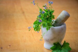 Mint varieties and the therapeutic applications they have in day-to-day life