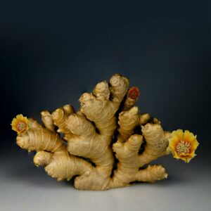 Ginger's Contribution to Improved Digestive Function and Immunity