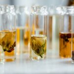 Using Herbal Infusions to Improve Sleep and Maintain a Calm Mind