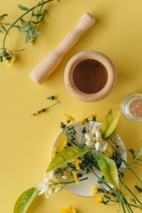 The Ten Most Important Herbal Plants That Everyone Should Know About