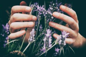 What You Should Know About Watering Common Herbal Plants